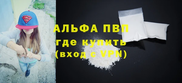 гашик Алексин