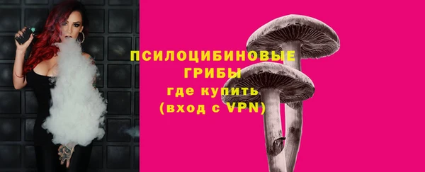 гашик Алексин