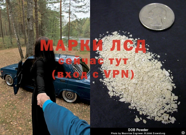 винт Алзамай