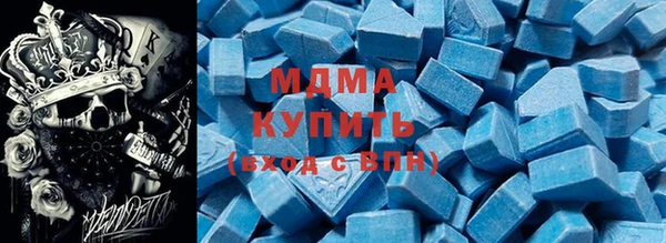 гашик Алексин