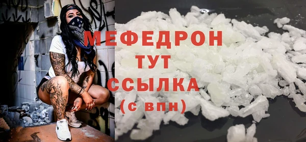 дмт Ельня