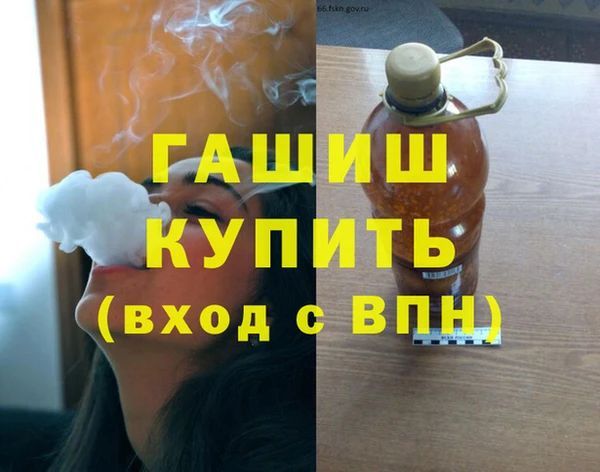 гашик Алексин
