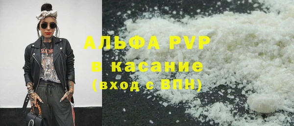 гашик Алексин