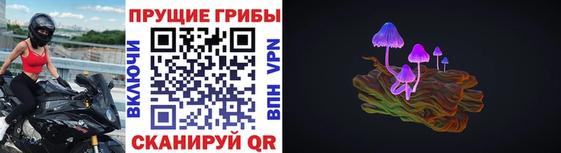 Псилоцибиновые грибы прущие грибы  Шатура 