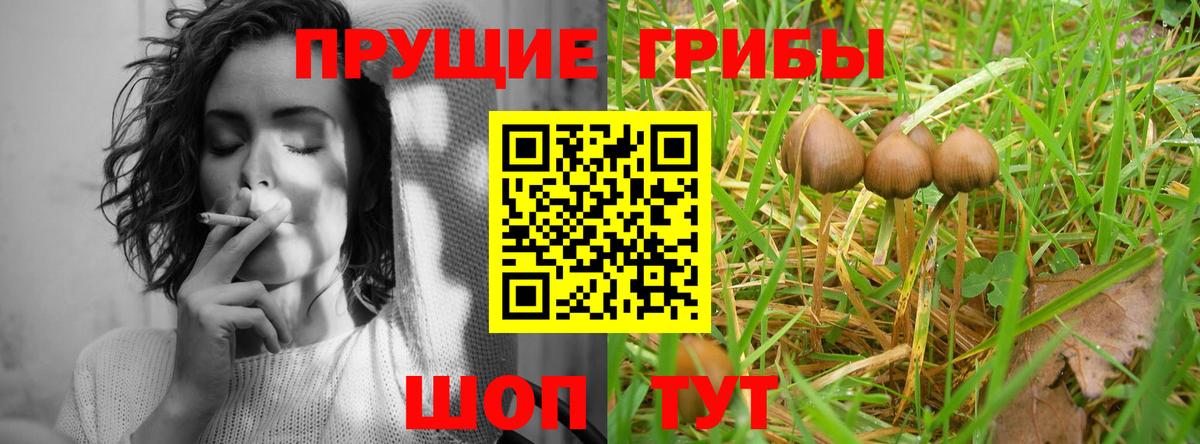 Галлюциногенные грибы Cubensis Шатура